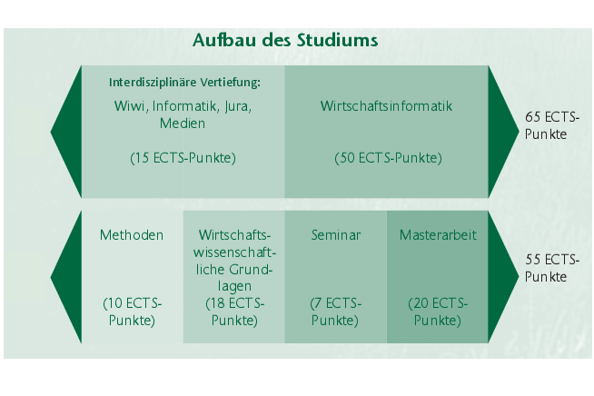 Aufbau des Wirtschaftsinformatikstudiums